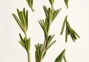How to Make Rosemary Water for Your Hair